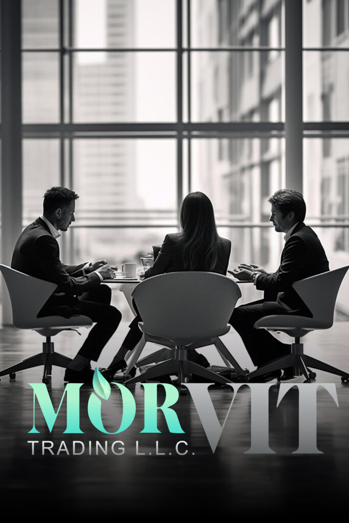 - MORVIT L.L.C